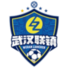 武汉联镇 武汉联镇